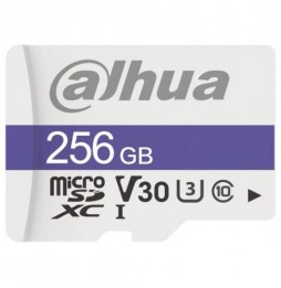 CARTE MEMOIRE C100/256GB